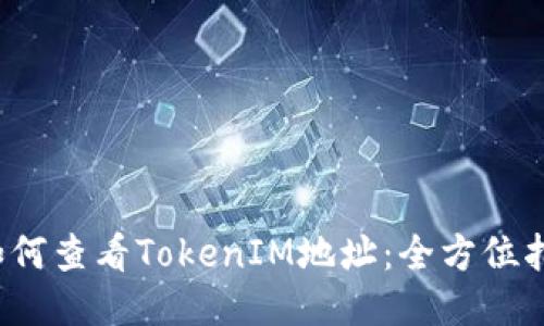  如何查看TokenIM地址：全方位指南