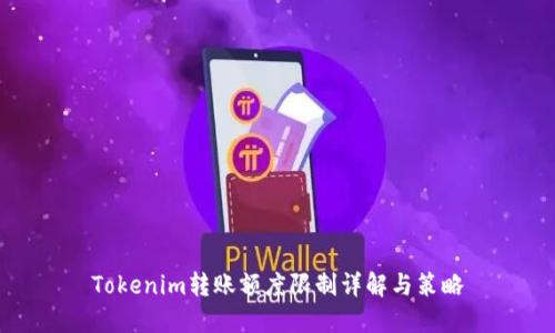 Tokenim转账额度限制详解与策略