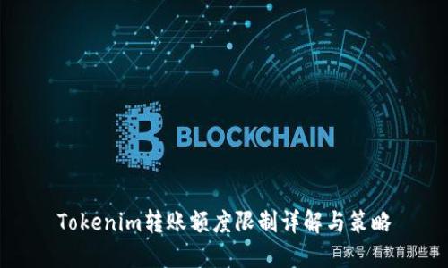 Tokenim转账额度限制详解与策略