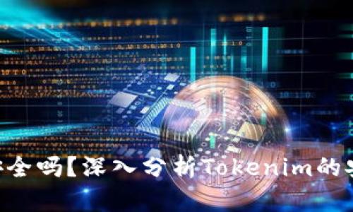 Tokenim不安全吗？深入分析Tokenim的安全性与风险