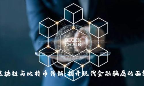 区块链与比特币传销：揭开现代金融骗局的面纱