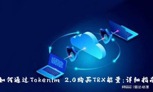 如何通过Tokenim 2.0购买TRX能量：详细指南