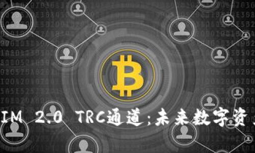 全面解析TokenIM 2.0 TRC通道：未来数字资产交易的新机遇