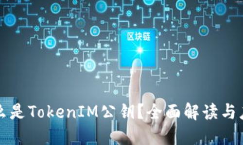 什么是TokenIM公钥？全面解读与应用