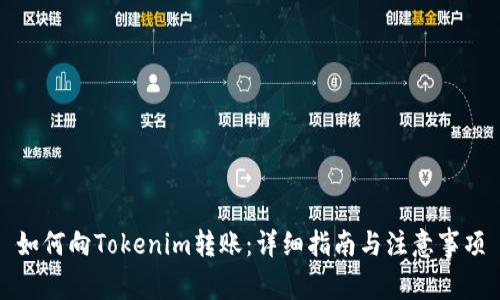 如何向Tokenim转账：详细指南与注意事项