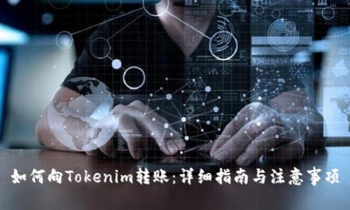 如何向Tokenim转账：详细指南与注意事项