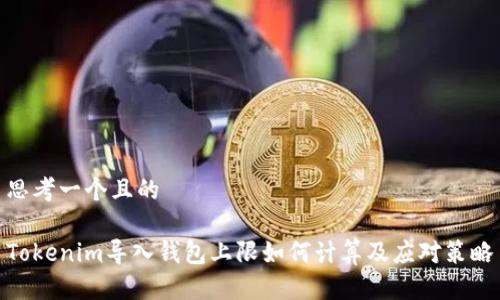 思考一个且的

Tokenim导入钱包上限如何计算及应对策略