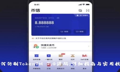 如何仿制TokenIM 2.0源码：详细指南与实用技巧