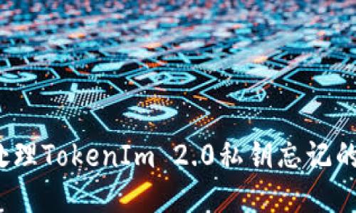 如何处理TokenIm 2.0私钥忘记的问题？