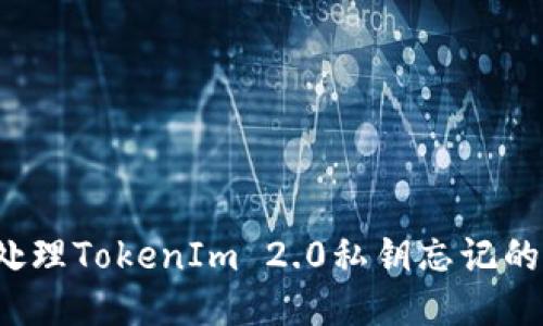 如何处理TokenIm 2.0私钥忘记的问题？