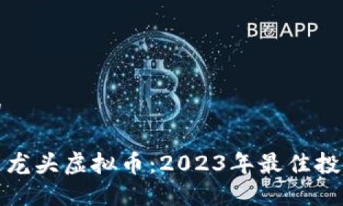 思考的

区块链龙头虚拟币：2023年最佳投资选择