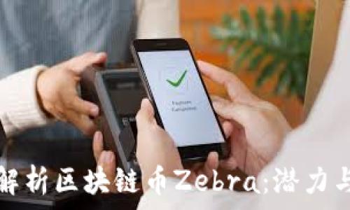  
全面解析区块链币Zebra：潜力与前景