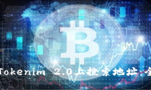 如何在Tokenim 2.0上搜索地址：全面指南