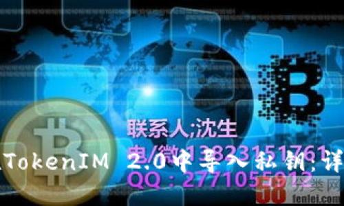 如何在TokenIM 2.0中导入私钥：详尽指南