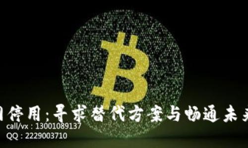 Tokenim官网停用：寻求替代方案与畅通未来的投资之路