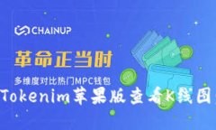 如何使用Tokenim苹果版查看