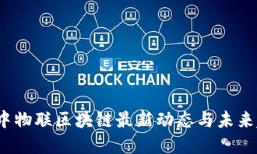 建议：

2023年中物联区块链最新动态与未来趋势探索