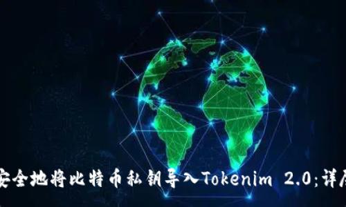 :
如何安全地将比特币私钥导入Tokenim 2.0：详尽指南