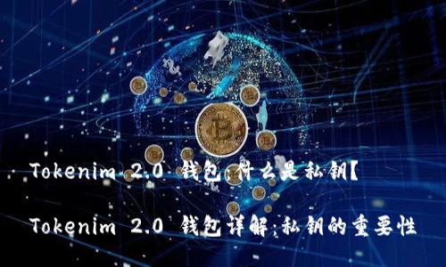 Tokenim 2.0 钱包：什么是私钥？

Tokenim 2.0 钱包详解：私钥的重要性