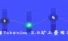深入了解Tokenim 2.0矿工费用