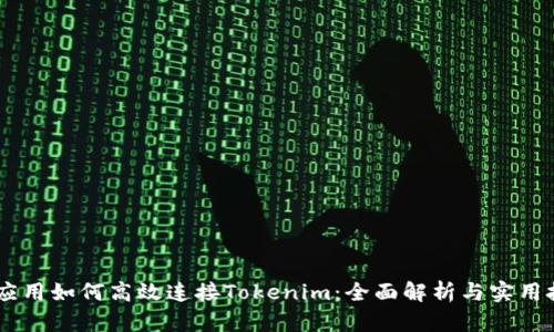 H5应用如何高效连接Tokenim：全面解析与实用技巧