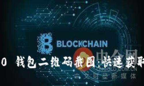 Tokenim 2.0 钱包二维码截图：快速获取和使用指南