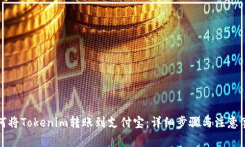 如何将Tokenim转账到支付宝：详细步骤与注意事项