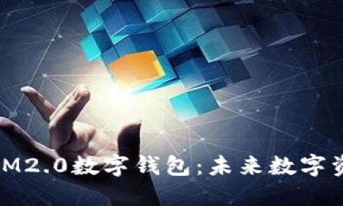 深入了解61TokenIM2.0数字钱包：未来数字资产管理的最佳选择