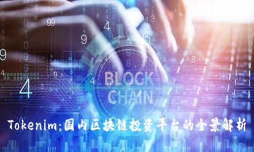 Tokenim：国内区块链投资平台的全景解析