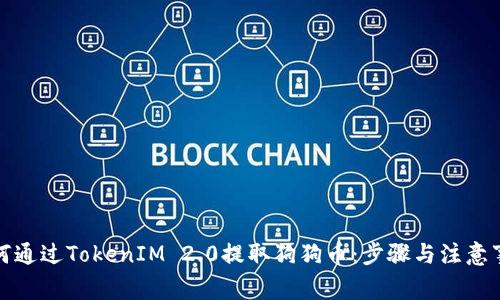如何通过TokenIM 2.0提取狗狗币：步骤与注意事项