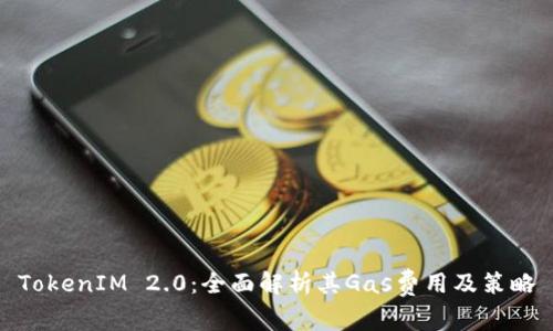 TokenIM 2.0：全面解析其Gas费用及策略