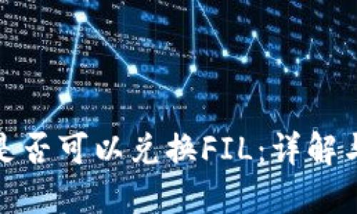 TokenIm是否可以兑换FIL：详解与使用指南