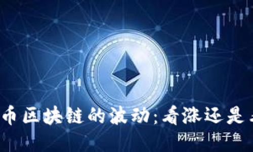 比特币区块链的波动：看涨还是看跌？