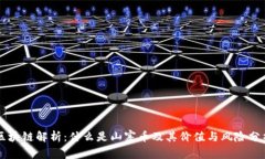 区块链解析：什么是山寨