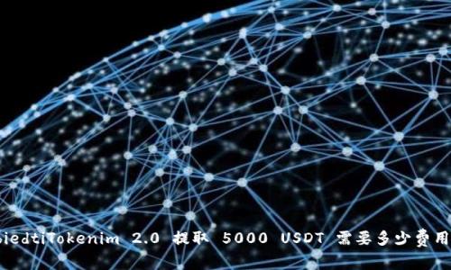biedtiTokenim 2.0 提取 5000 USDT 需要多少费用？