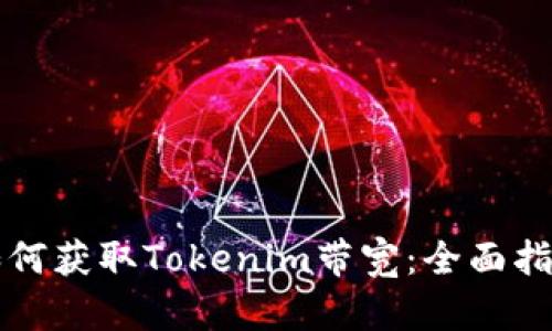 如何获取Tokenim带宽：全面指南