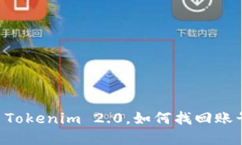 手机掉了Tokenim 2.0，如何找回账号和资产？