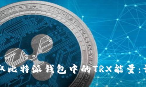 如何获取比特派钱包中的TRX能量：详细指南