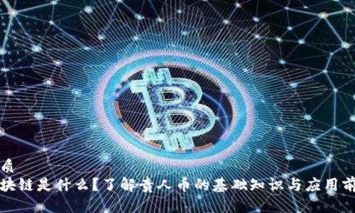 优质
区块链是什么？了解贵人币的基础知识与应用前景