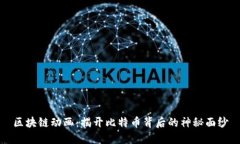区块链动画：揭开比特币