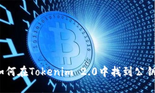 如何在Tokenim 2.0中找到公钥？
