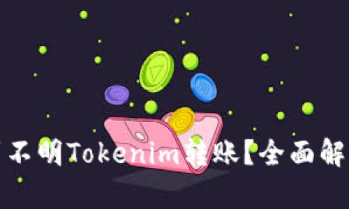如何处理收到不明Tokenim转账？全面解析与应对策略