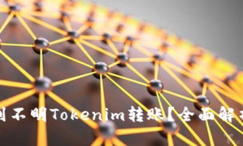 如何处理收到不明Tokenim转账？全面解析与应对策略
