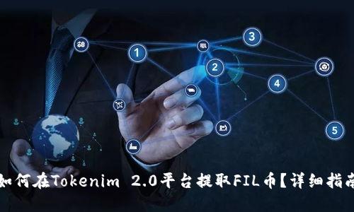 如何在Tokenim 2.0平台提取FIL币?详细指南
