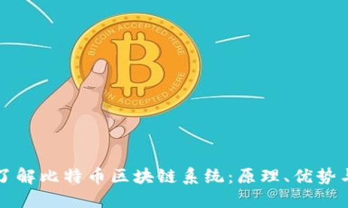 深入了解比特币区块链系统：原理、优势与挑战