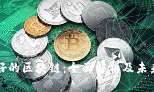 比特币最好的区块链：全面解析及未来发展趋势