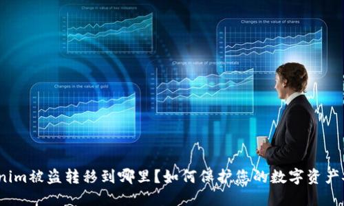 Tokenim被盗转移到哪里？如何保护您的数字资产安全？