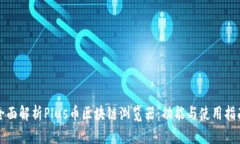 全面解析Plus币区块链浏览