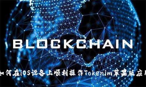 如何在iOS设备上顺利操作Tokenim苹果版应用