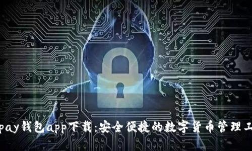 Topay钱包app下载：安全便捷的数字货币管理工具